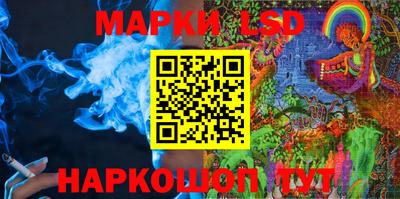 стафф Камышлов