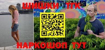 стафф Камышлов