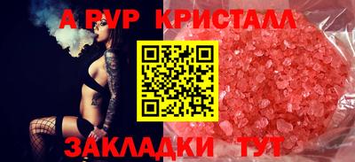 стафф Камышлов