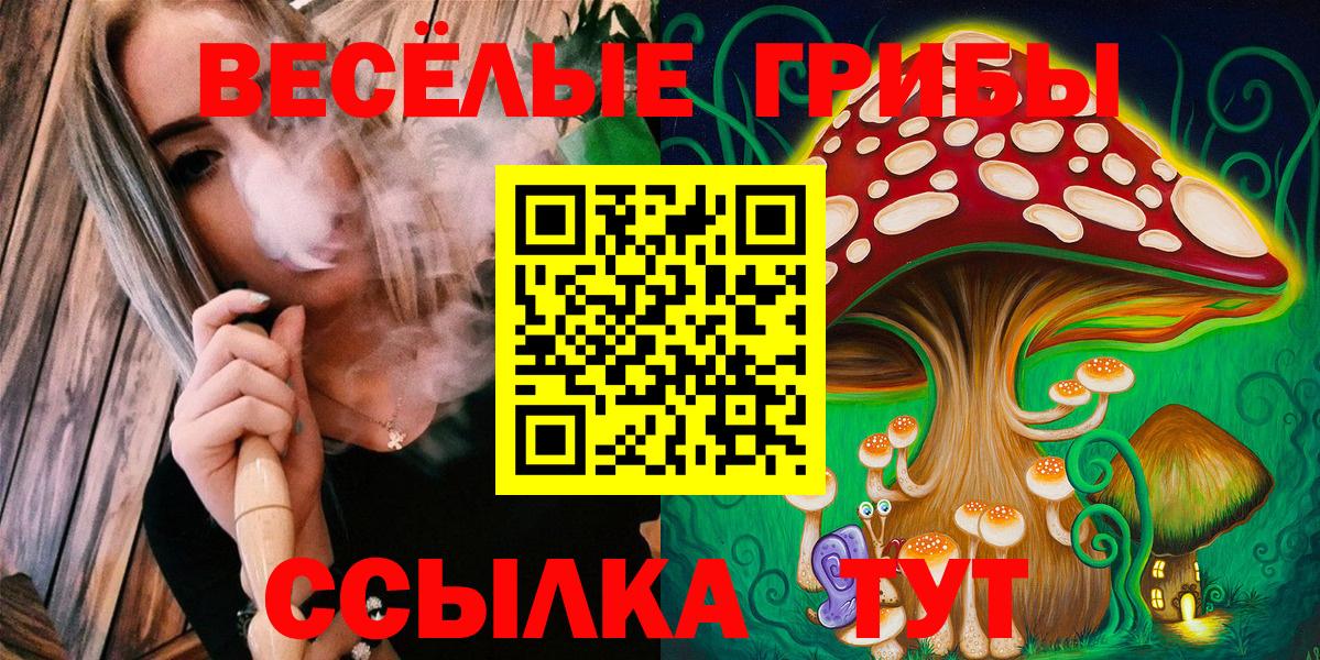 Псилоцибиновые грибы прущие грибы  Вход с VPN  Лангепас  Галлюциногенные грибы GOLDEN TEACHER 