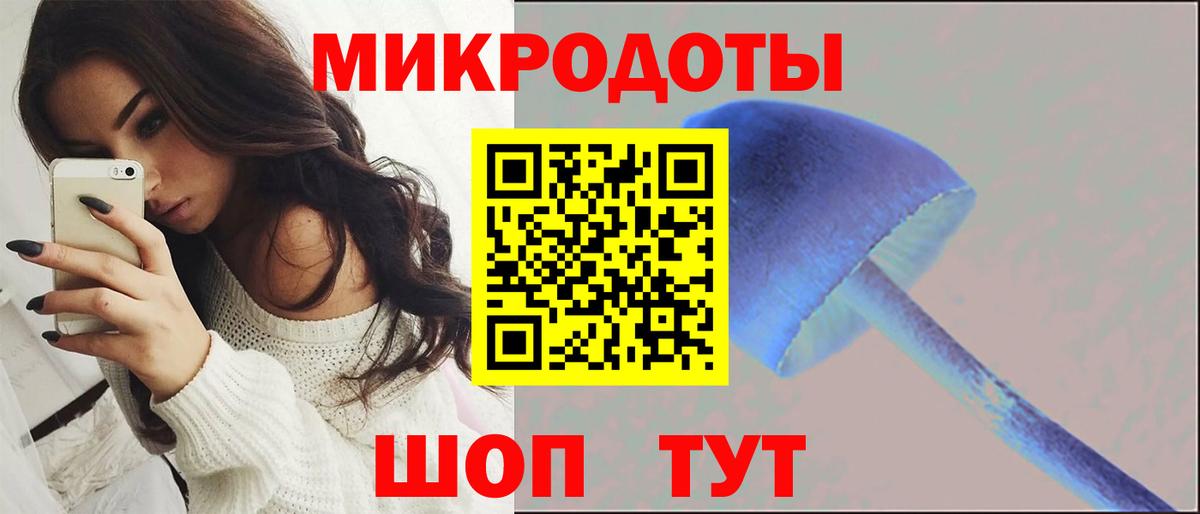 Галлюциногенные грибы Psilocybine cubensis Лангепас